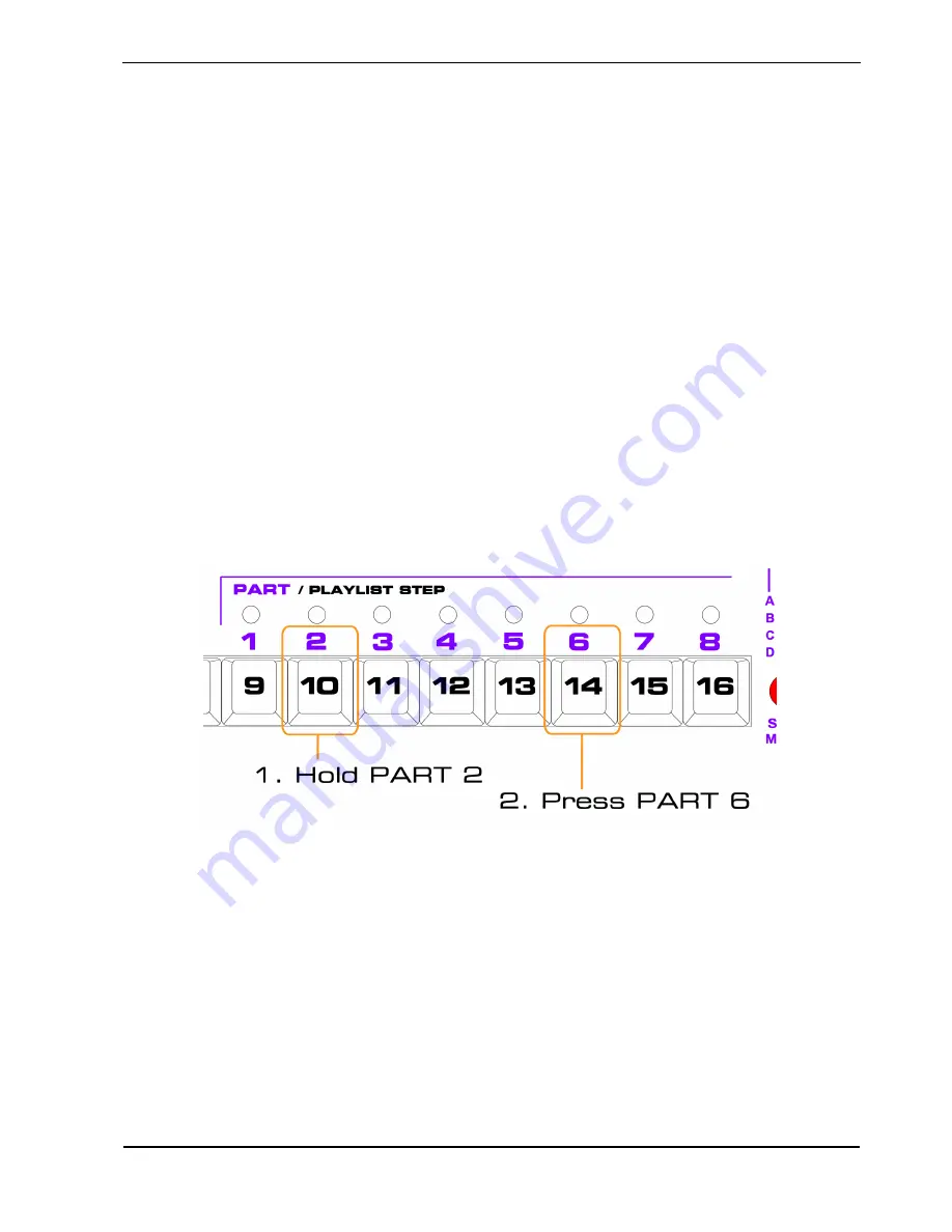 Sequentix P3 SEQUENCER Скачать руководство пользователя страница 19