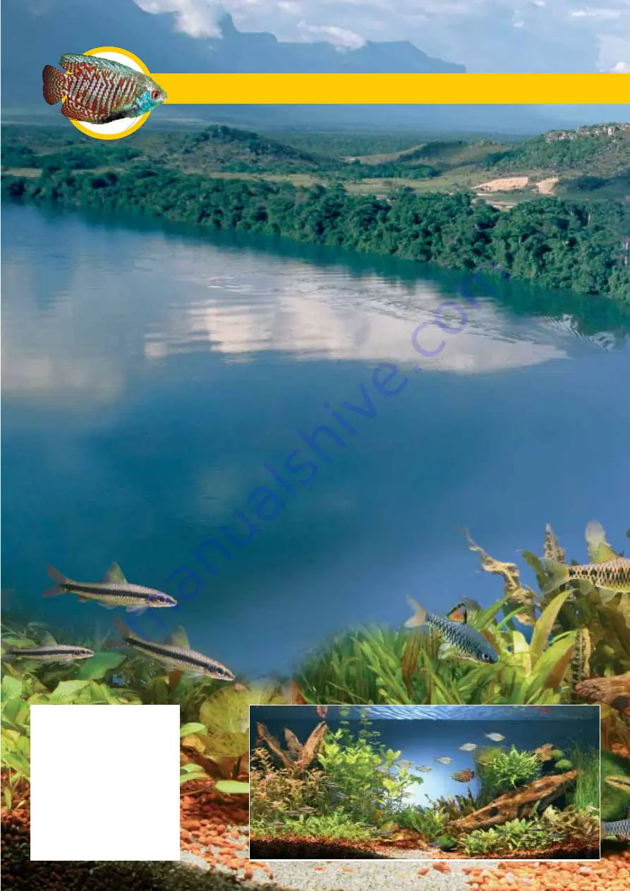 Sera Biotope Asia Manual Download Page 2