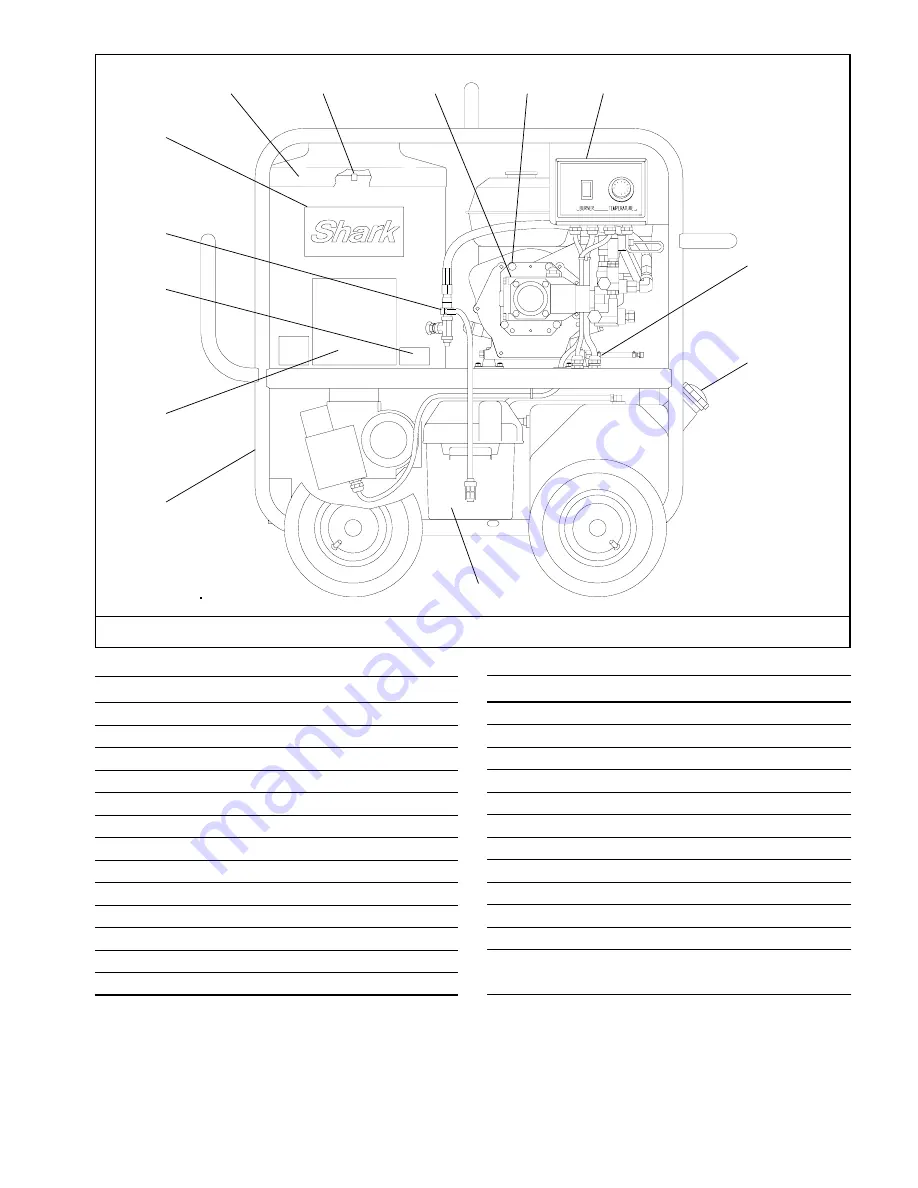 Shark DH3030HGB Скачать руководство пользователя страница 13