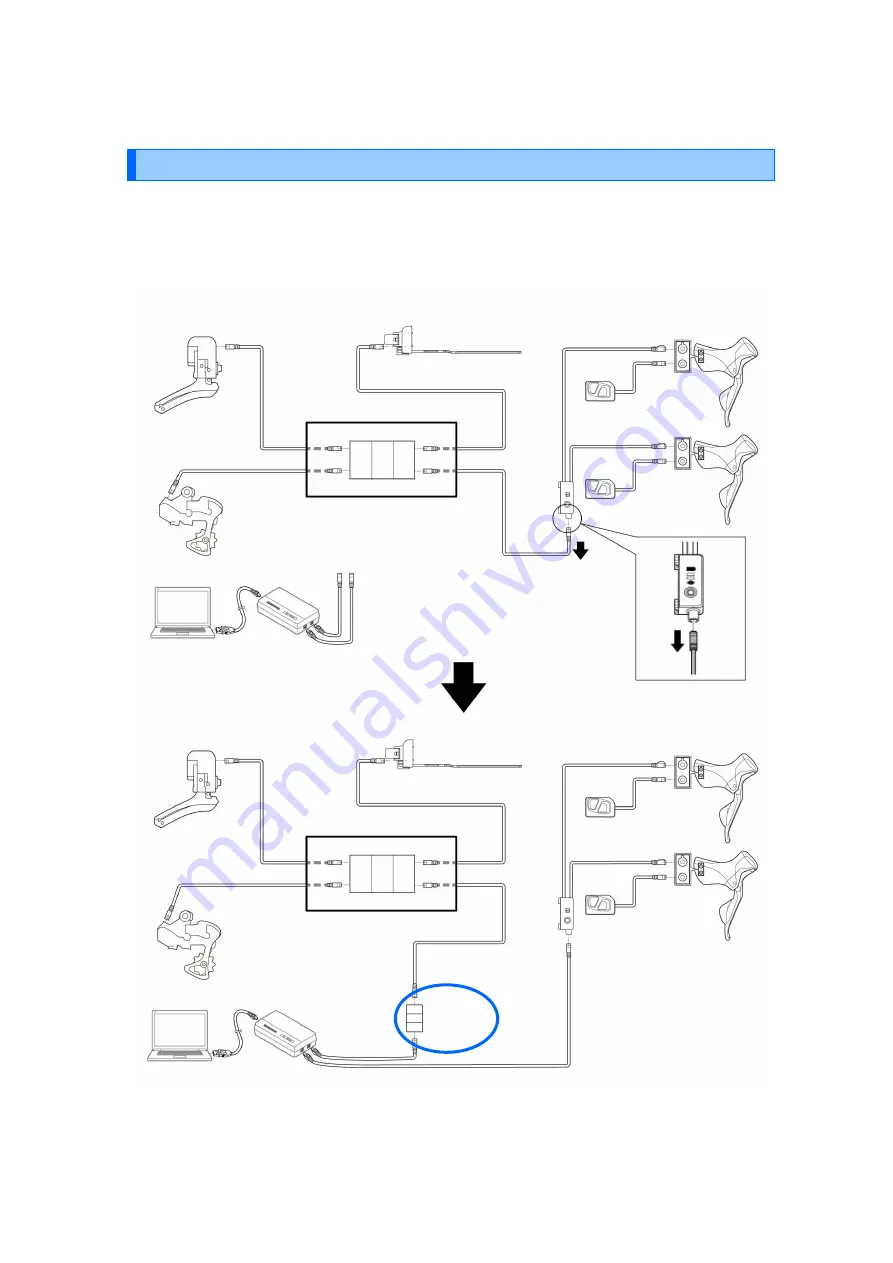 Shimano SM-PCE02 Скачать руководство пользователя страница 8