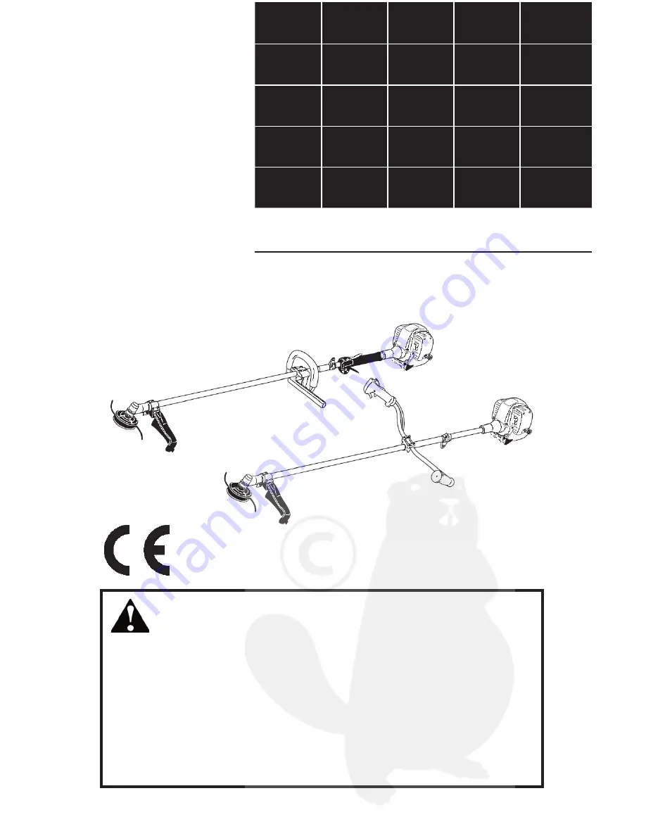 Shindaiwa C2510 Скачать руководство пользователя страница 1