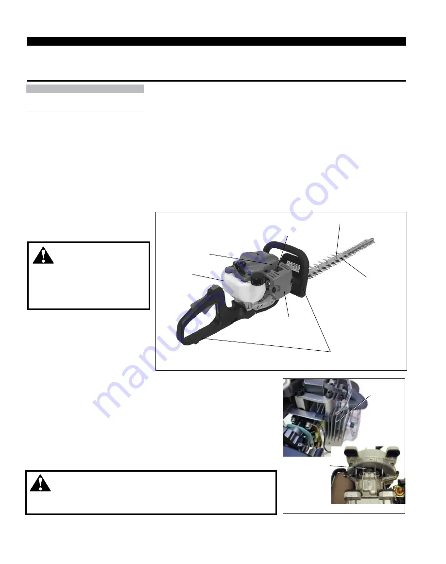 Shindaiwa DH254 Скачать руководство пользователя страница 12