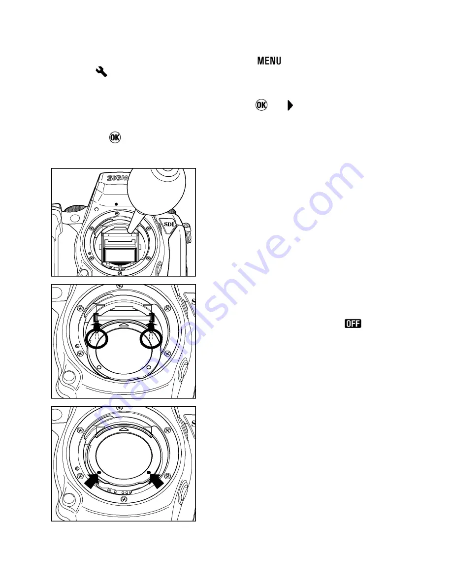 Sigma SD1 Merrill Скачать руководство пользователя страница 119