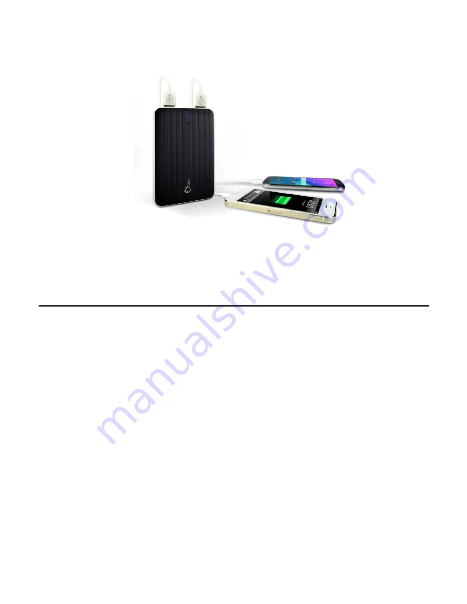 SIIG 10000mAh Rapid Charging Dual-Port Battery Power Bank User Reference Manual Download Page 6