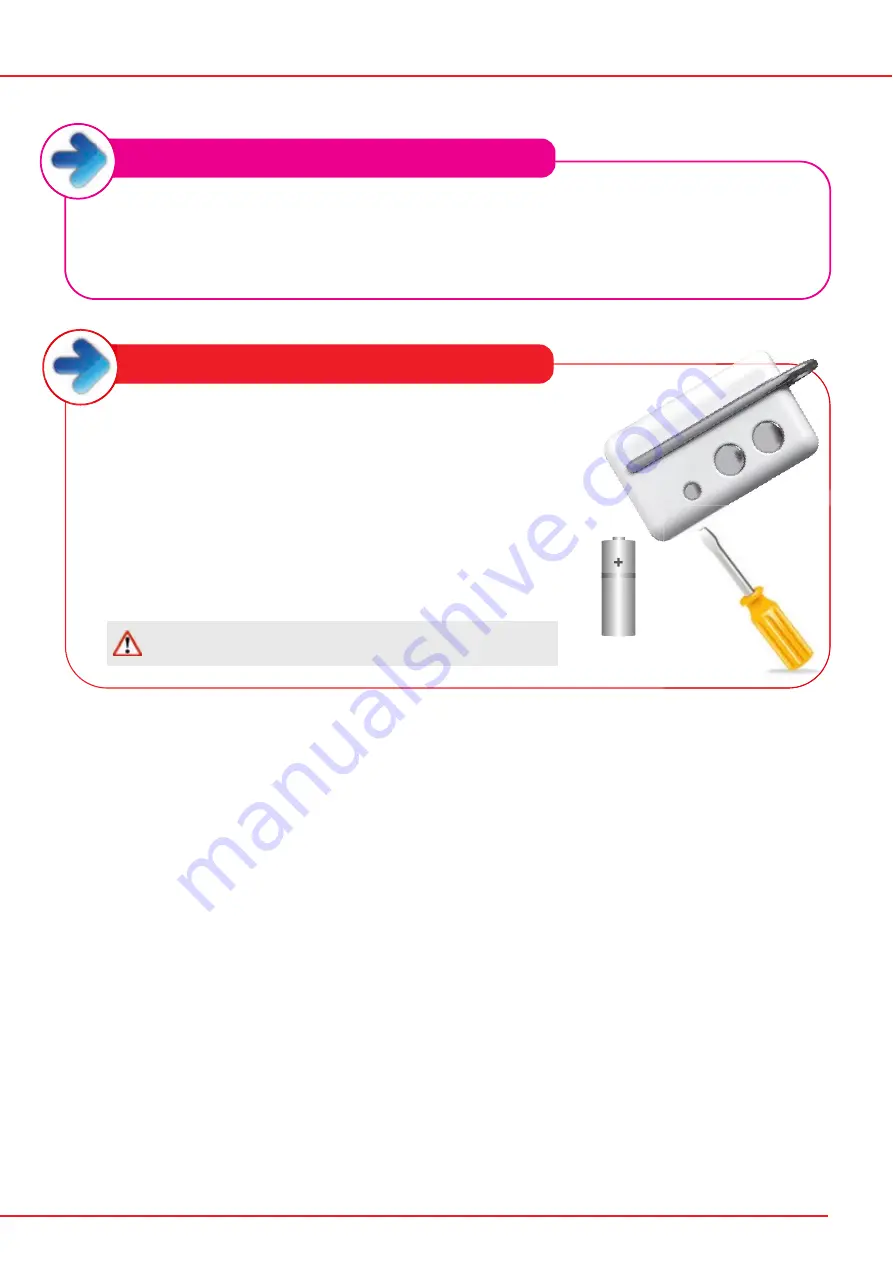 SILISYSTEM CLONE 433 AU 2T Instructions For Use And Set Up Download Page 3