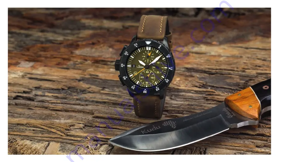 Sinn HUNTER'S WATCH 3. Edition Скачать руководство пользователя страница 14