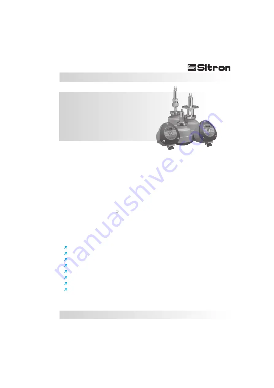 Sitron CF12 AC User Manual Download Page 3