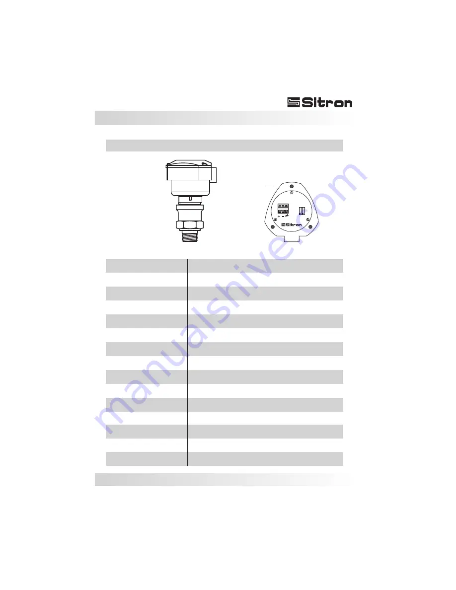 Sitron SP10 User Manual Download Page 15