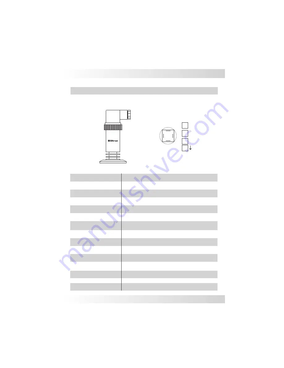 Sitron SP10 User Manual Download Page 18