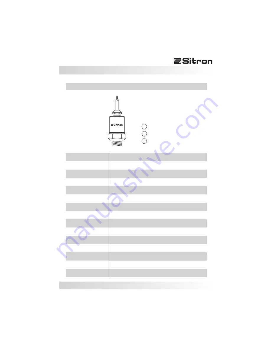 Sitron SP10 User Manual Download Page 19