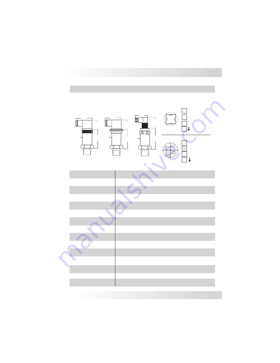 Sitron SP10 User Manual Download Page 20