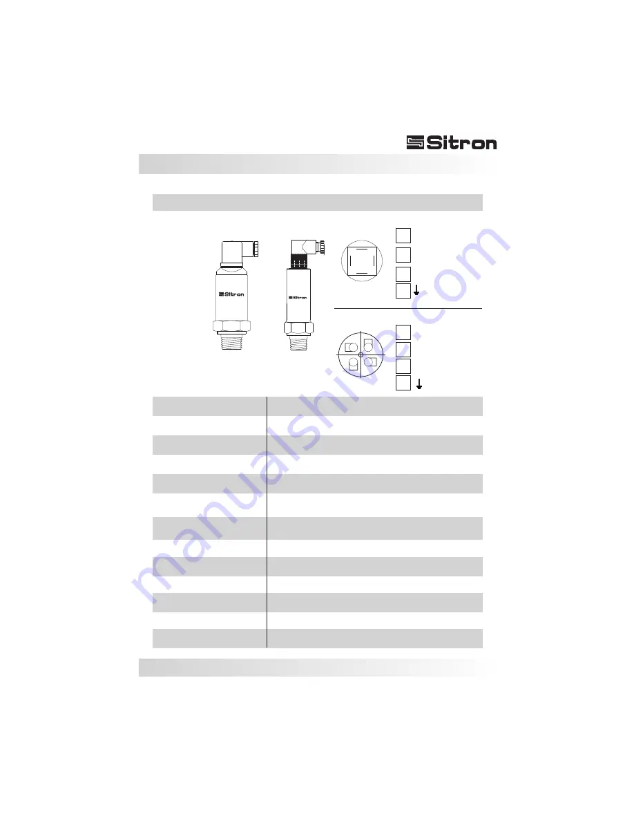 Sitron SP10 Скачать руководство пользователя страница 21