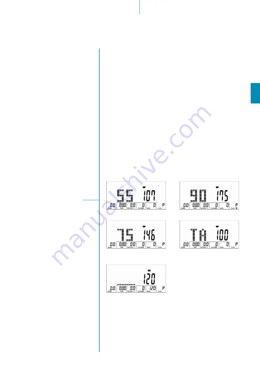 Skandika Centaurus 2.0 Assembly Instructions Manual Download Page 31