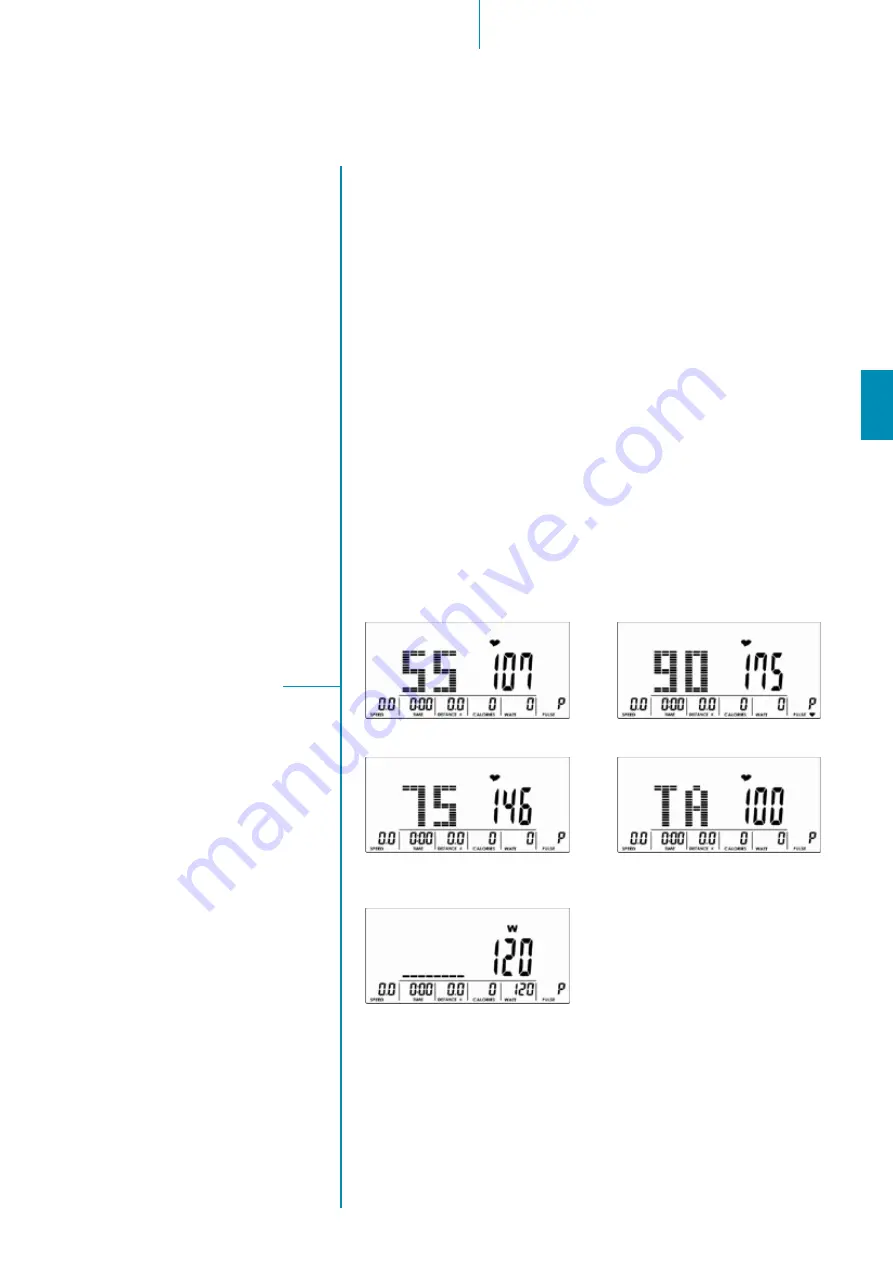 Skandika Centaurus 2.0 Assembly Instructions Manual Download Page 49