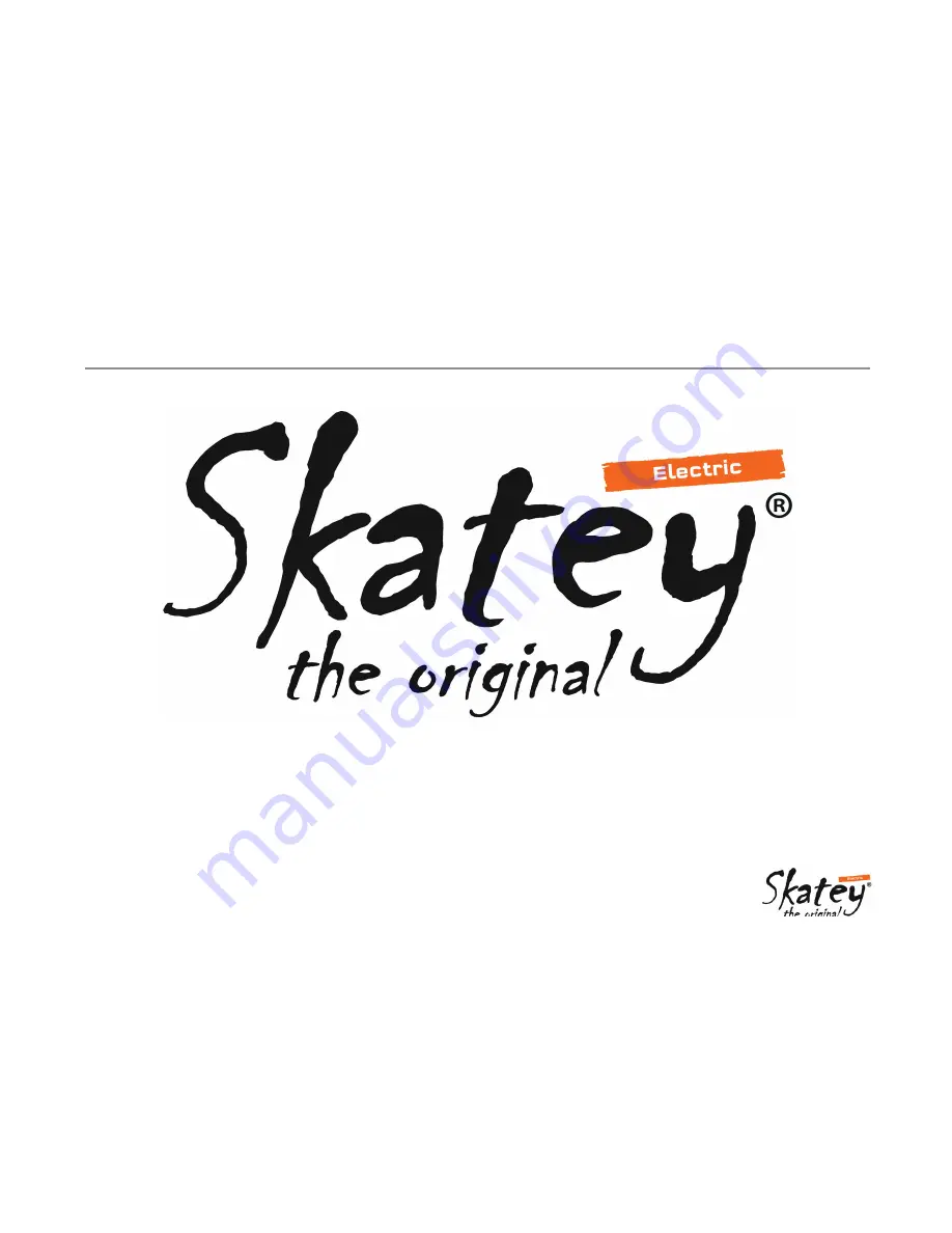 SKATEY SK144 Скачать руководство пользователя страница 20