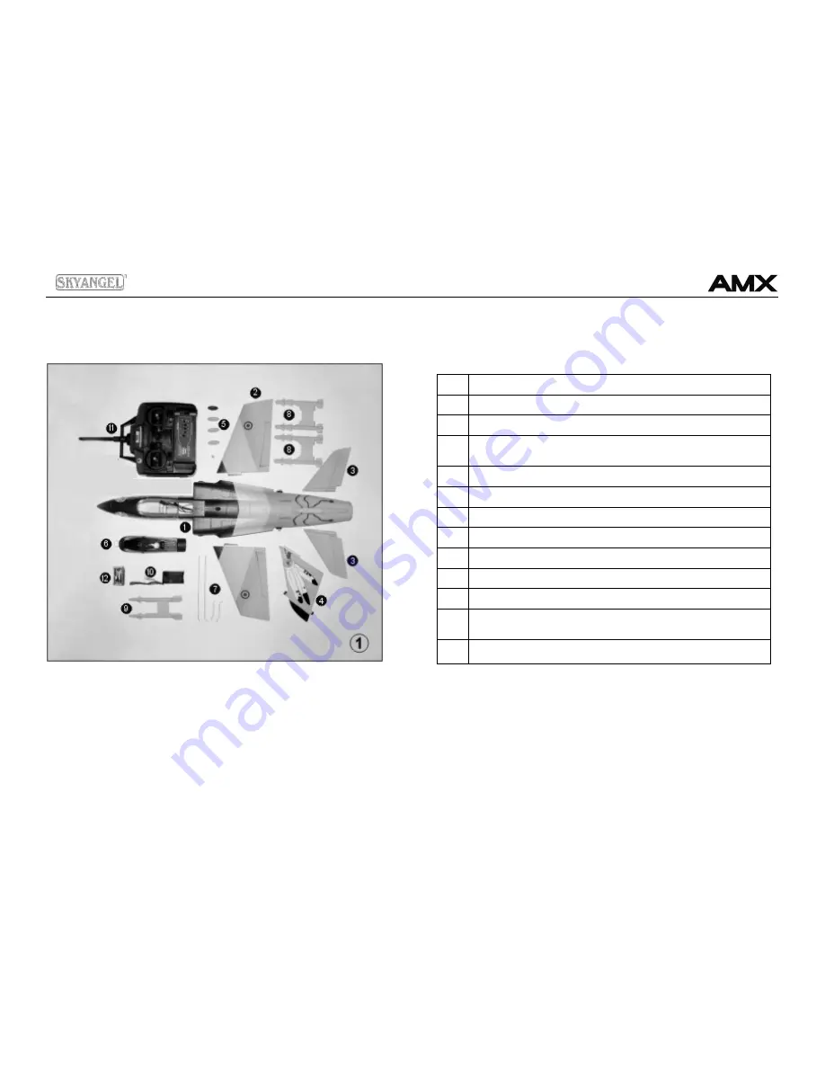 Sky Angel AMX Assembly And Operating Manual Download Page 3