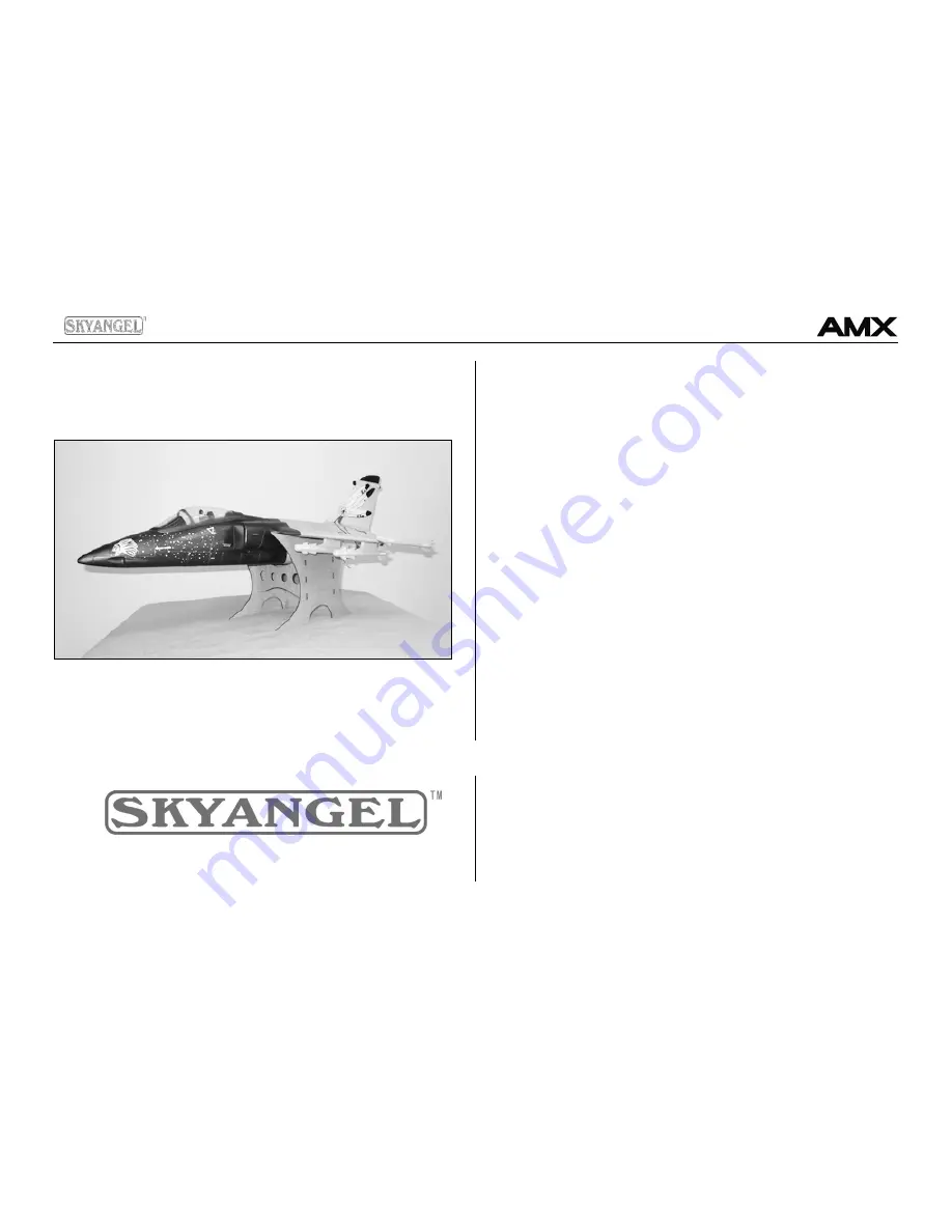 Sky Angel AMX Assembly And Operating Manual Download Page 12