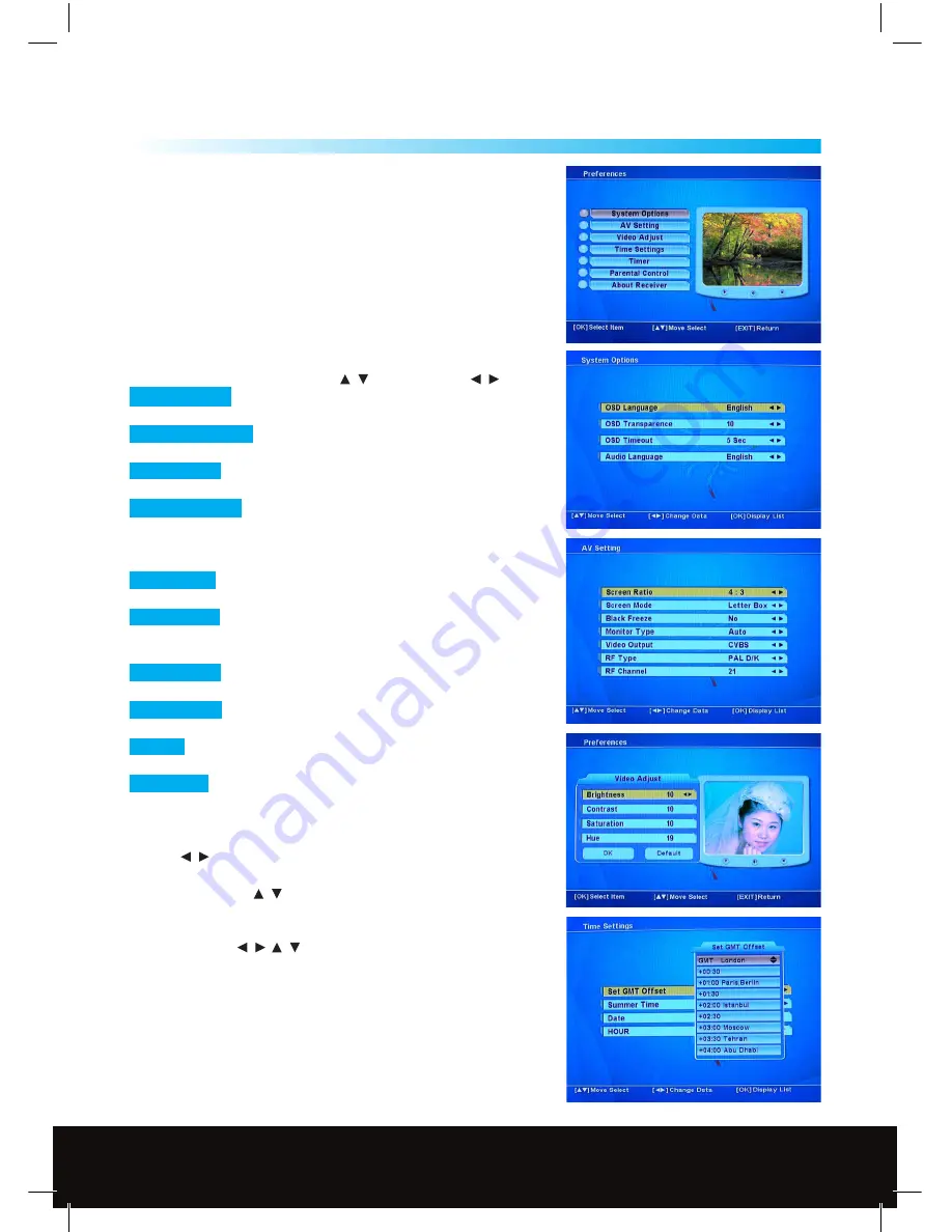 SkyLine 28207RF User Manual Download Page 13