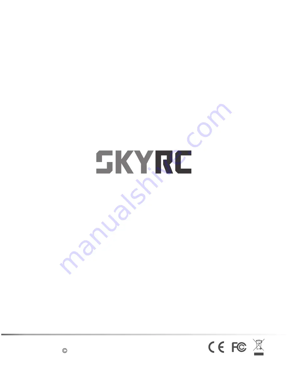 Skyrc B6AC+ DUAL POWER Скачать руководство пользователя страница 28