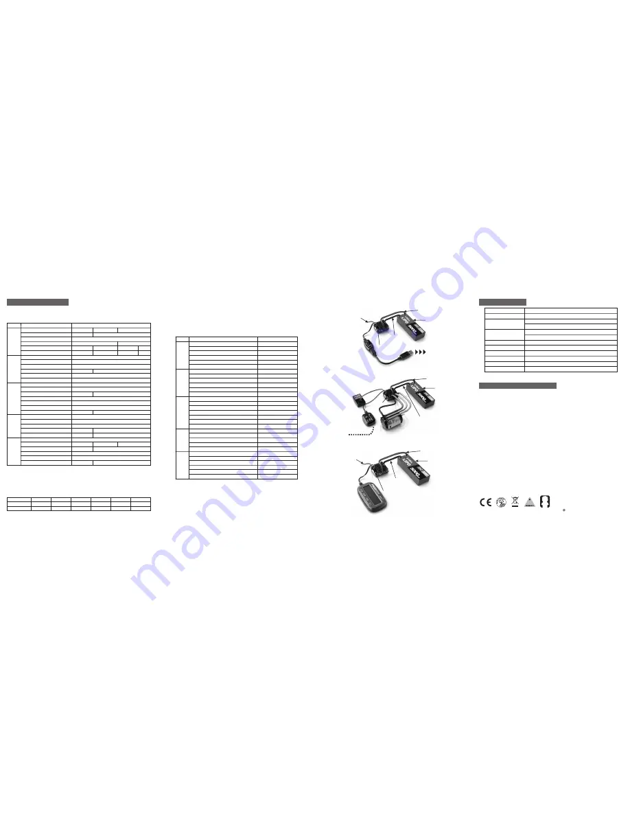 Skyrc Toro TS120 Competition Instruction Manual Download Page 2