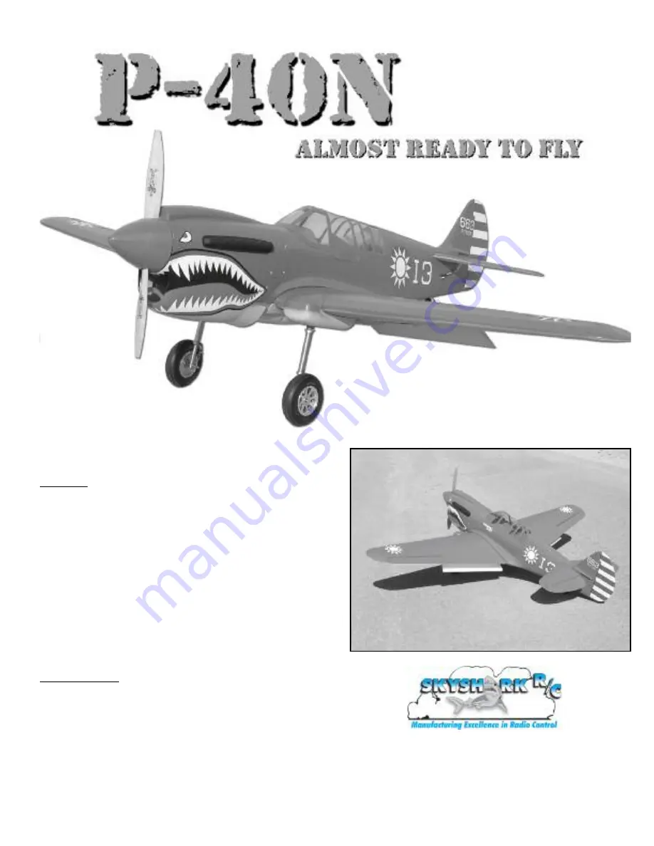 Skyshark P-40N Manual Download Page 1