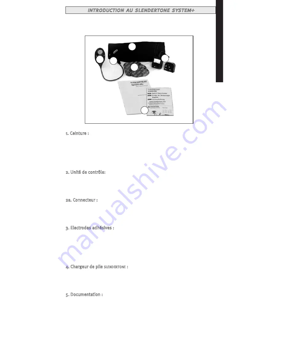 Slendertone System+ Instruction Manual Download Page 19