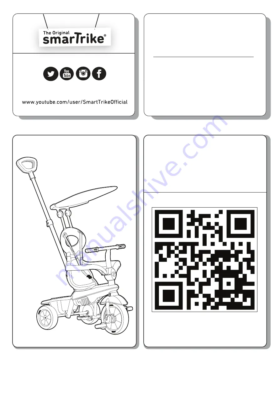 SmartTrike Zoom 319 Manual Download Page 1