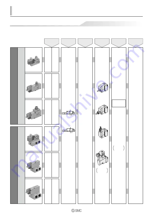 SMC Networks VQZ100 Series Скачать руководство пользователя страница 2