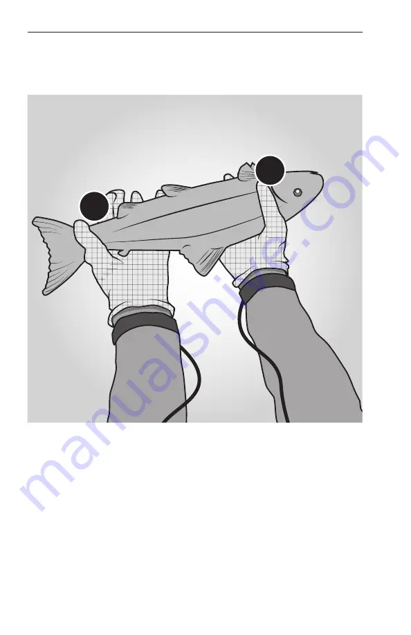 Smith-Root Electric Fish Handling Gloves User Manual Download Page 7