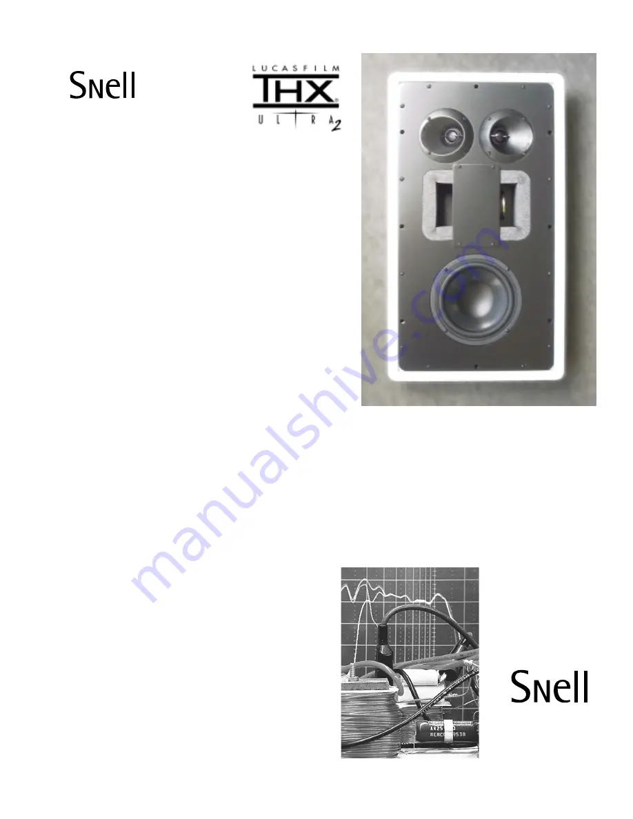 Snell AMC 900 THX Скачать руководство пользователя страница 1