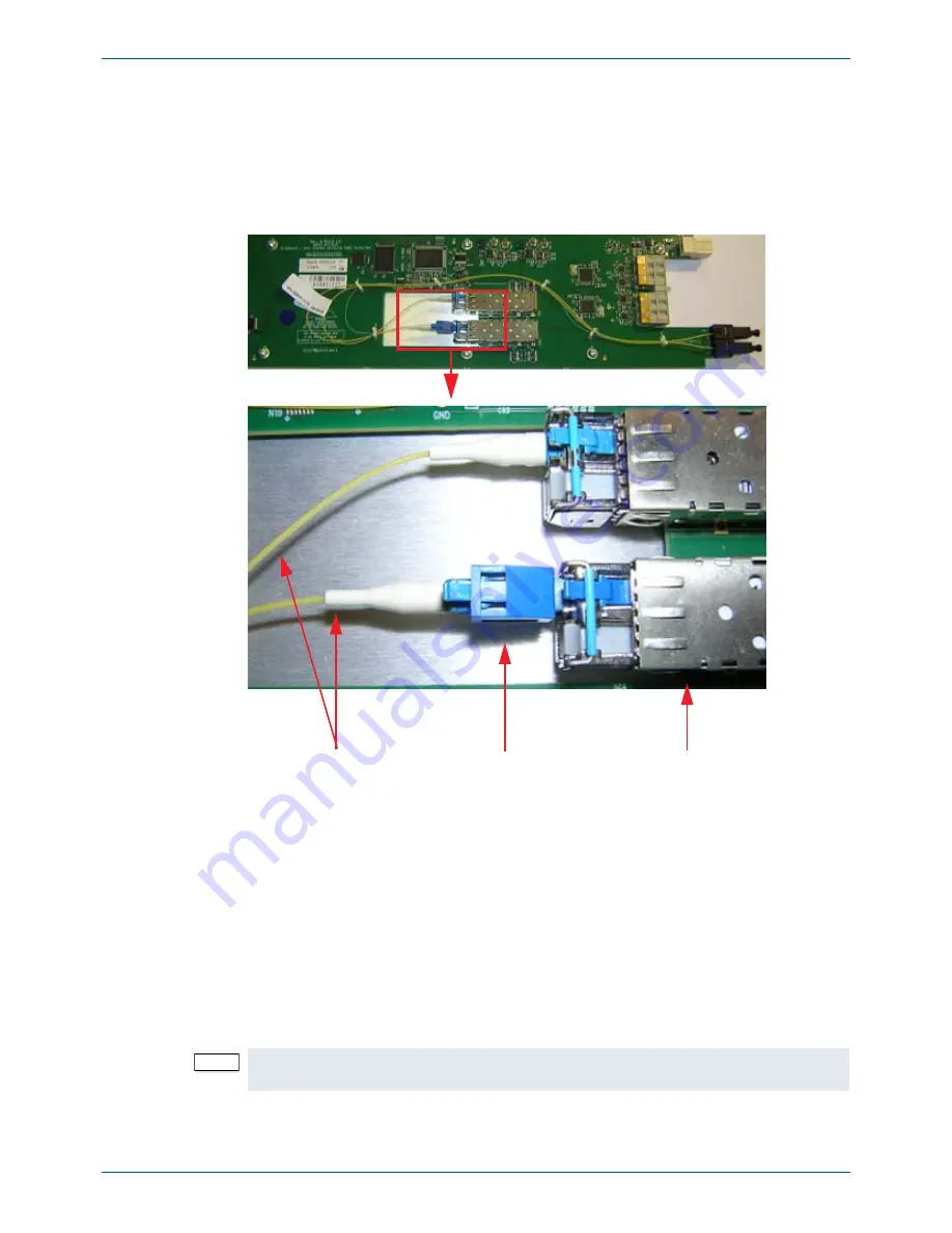 Snell IQOTR31 User Instruction Manual Download Page 13