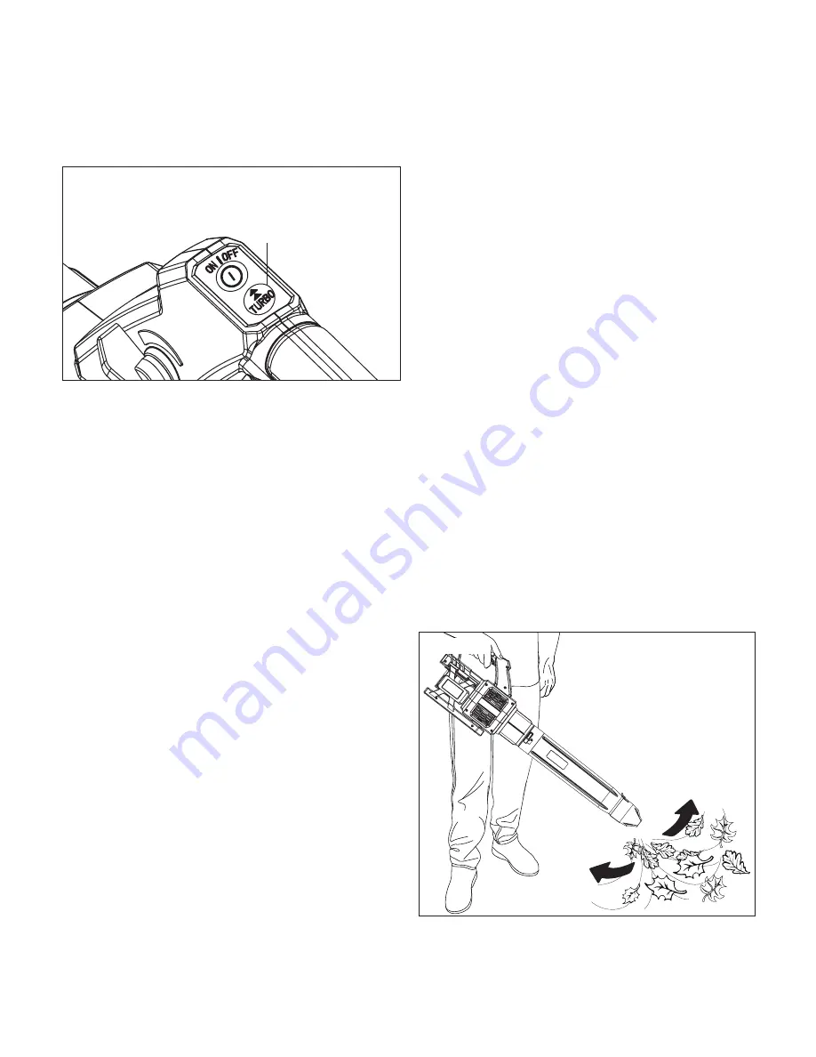 SNOWJOE SUNJOE 24V-X2-JB500 Скачать руководство пользователя страница 10