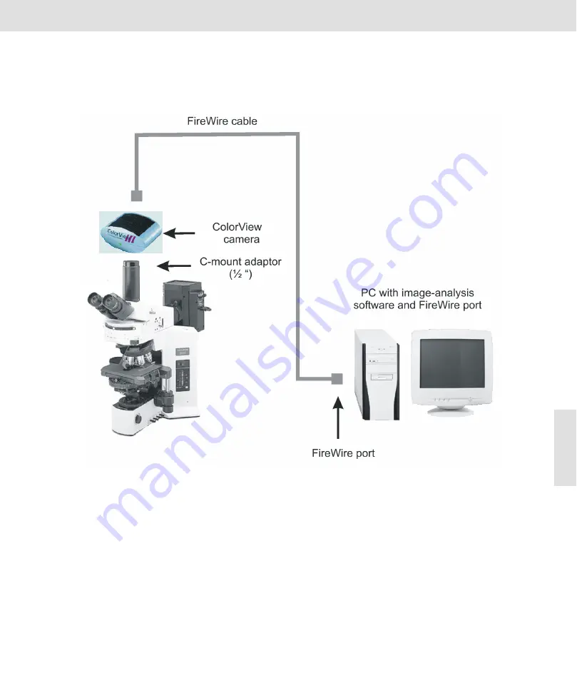 Soft Imaging System ColorView III Скачать руководство пользователя страница 69