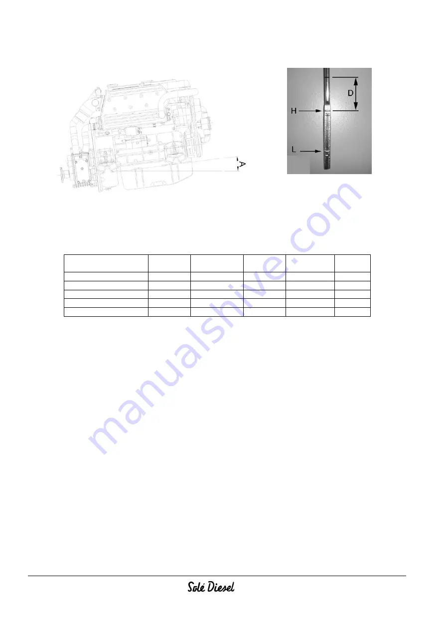 Sole Diesel MINI-74 Instruction Manual Download Page 40