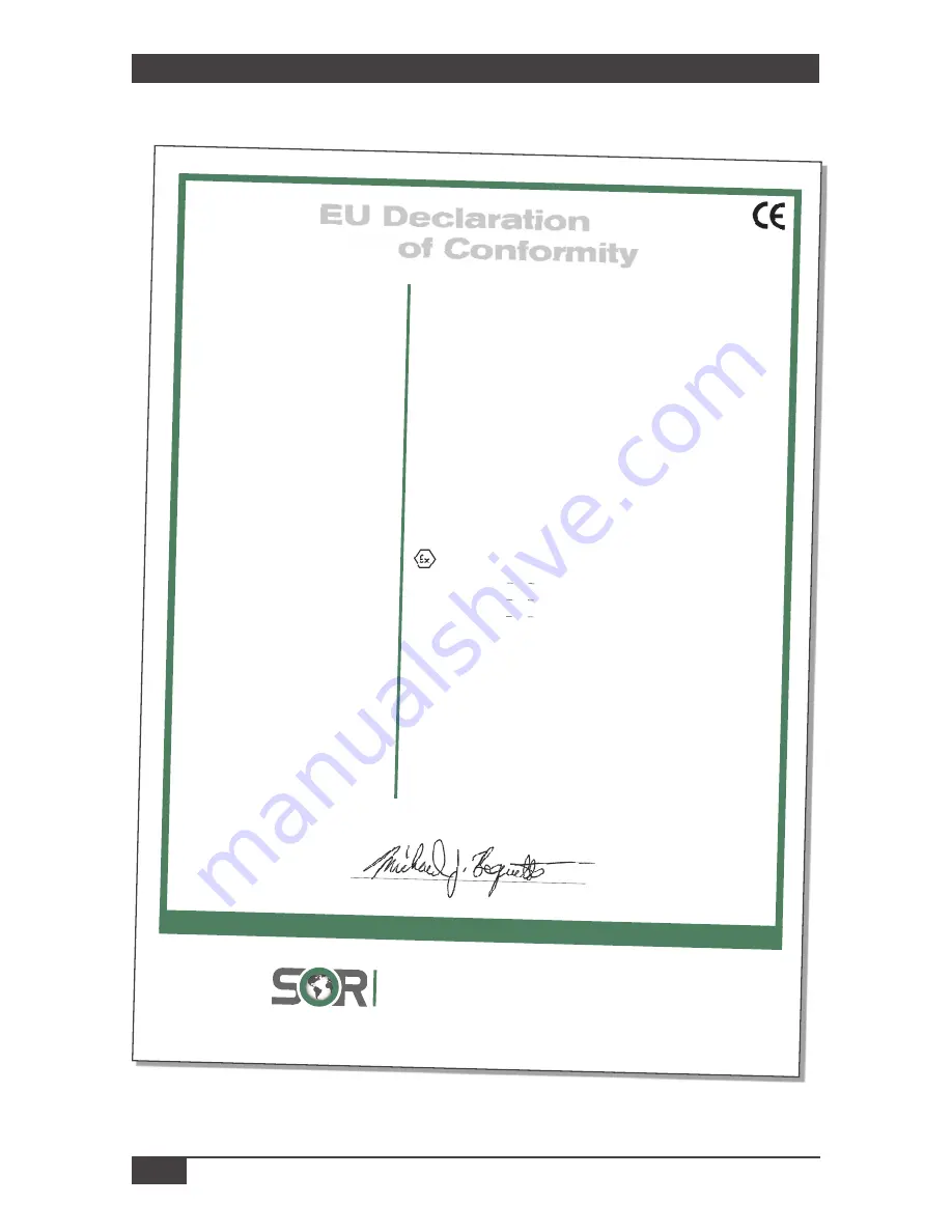 SOR GI169 General Instructions Manual Download Page 10