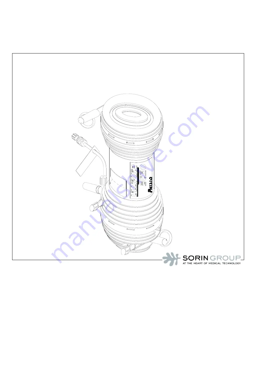 sorin LILLIPUT2 ECMO Instructions For Use Manual Download Page 1