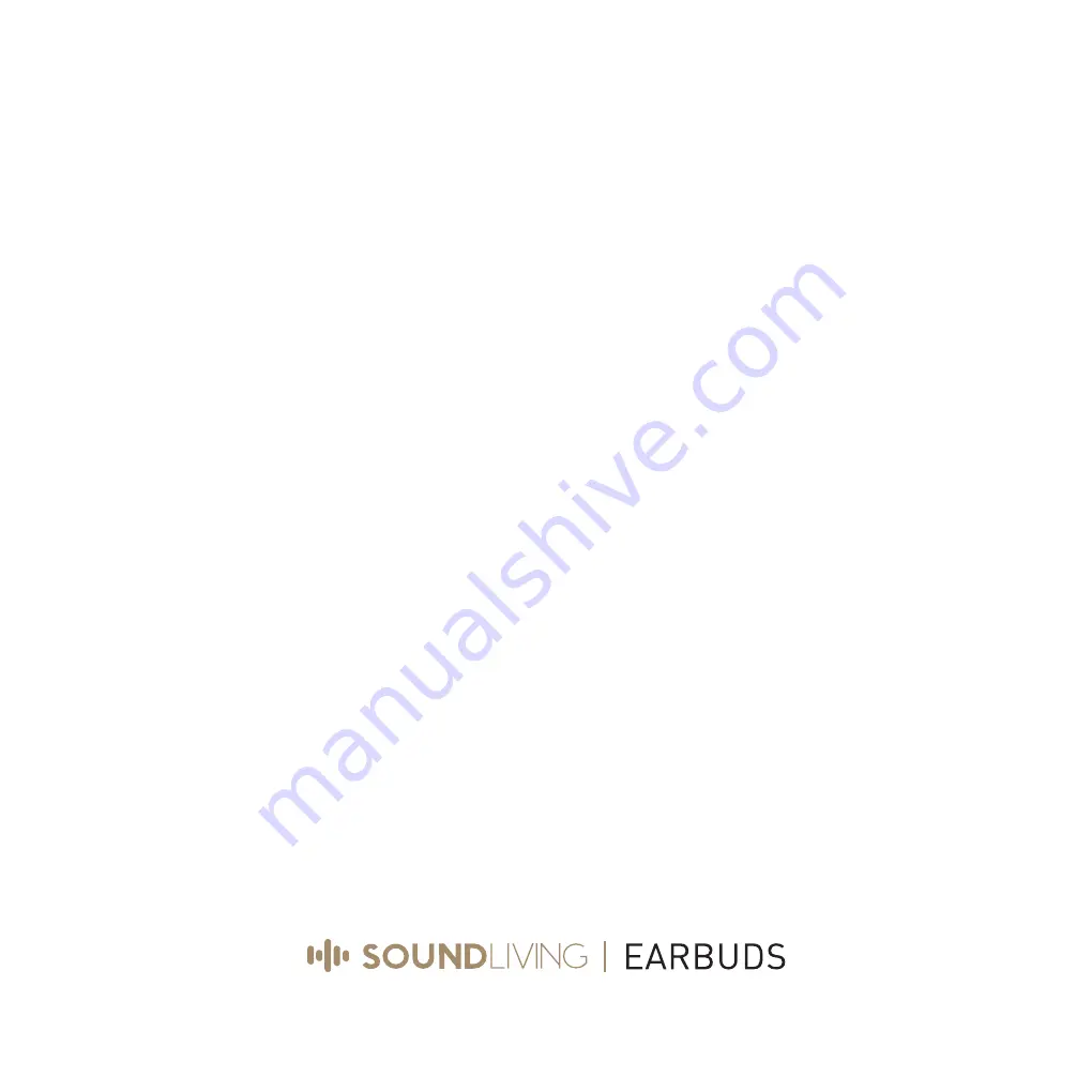 SoundLiving TRUE GO MINI Manual Download Page 13