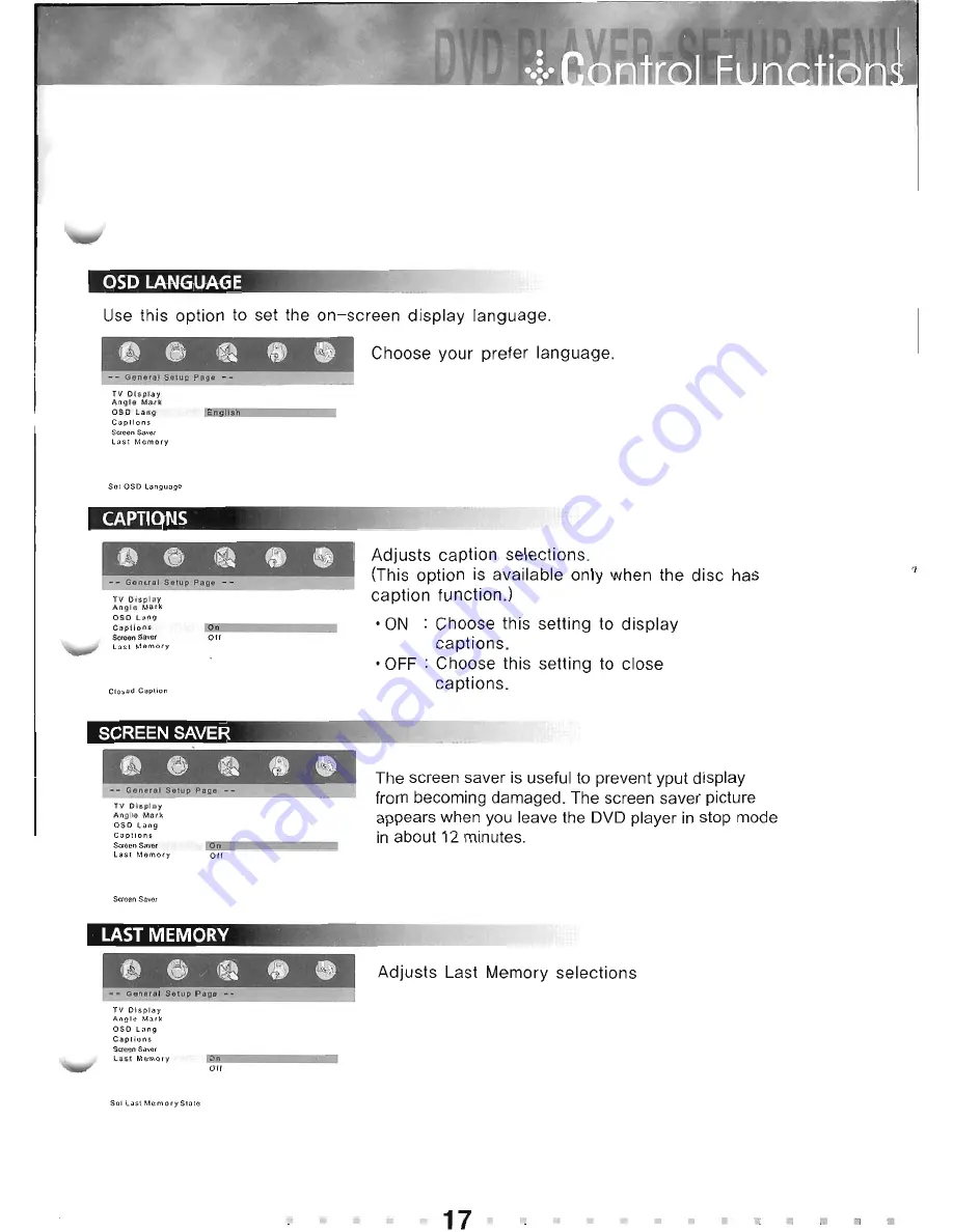 Soundstream TFT LCD DVD Player Скачать руководство пользователя страница 17