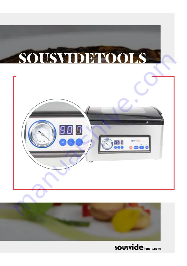 SousVideTools IVIDE CHAMBER User Manual Download Page 1