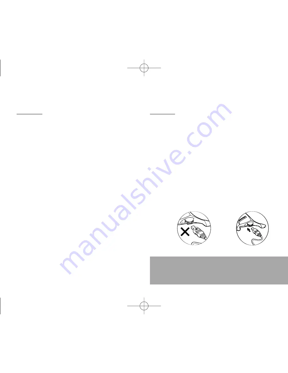 Southwing NeoVoice User Manual Download Page 5