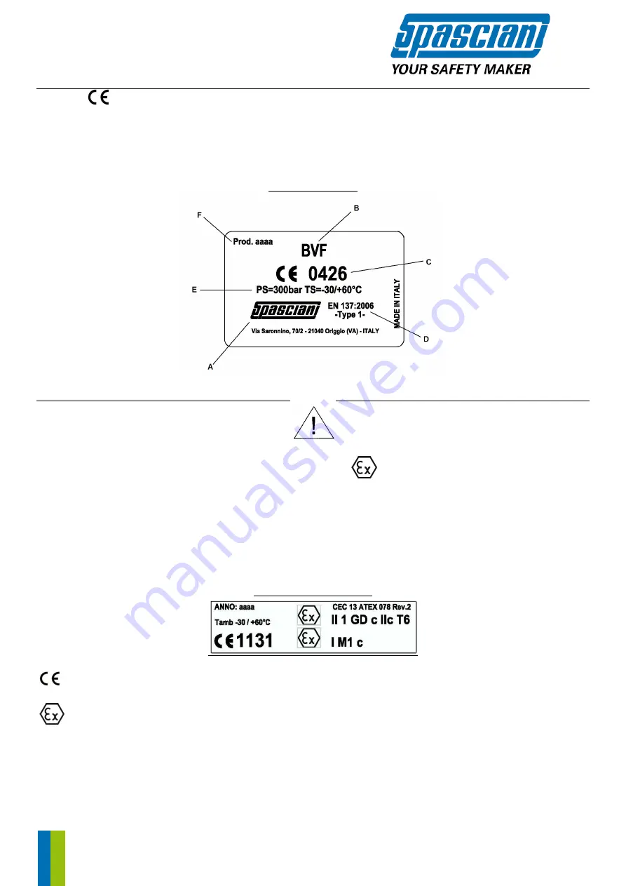 Spasciani BVF Instructions For Use Manual Download Page 17