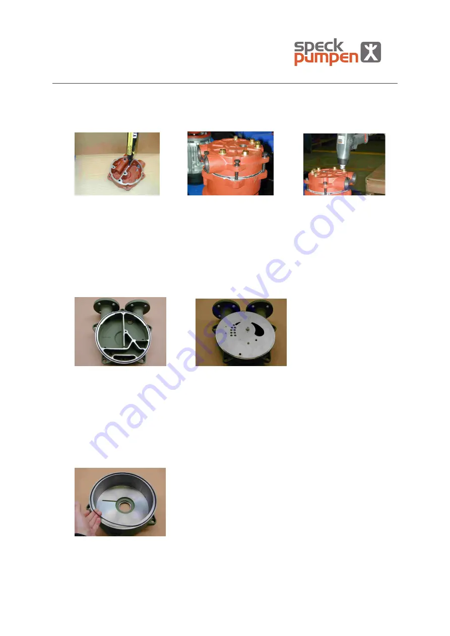 Speck pumpen V 130 Скачать руководство пользователя страница 8