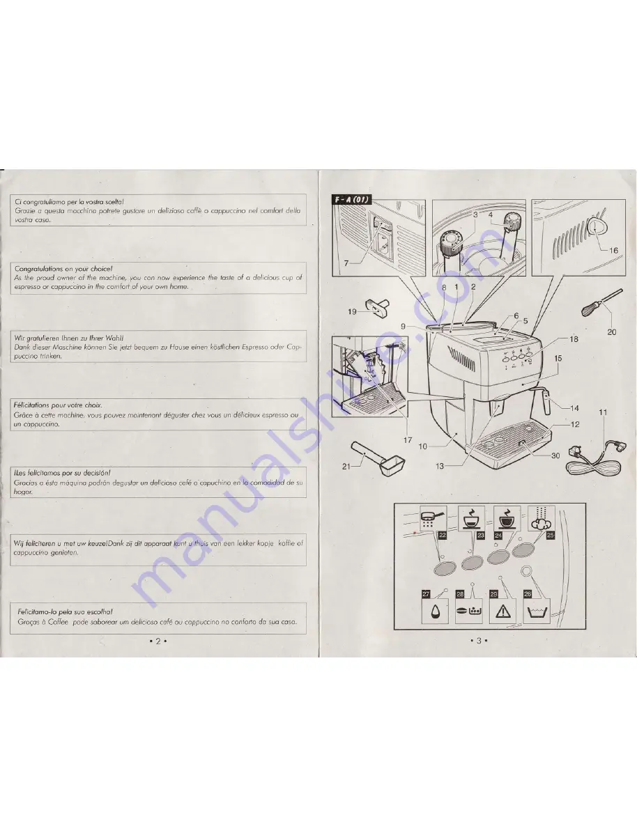 Spidem SUP025PY Скачать руководство пользователя страница 2