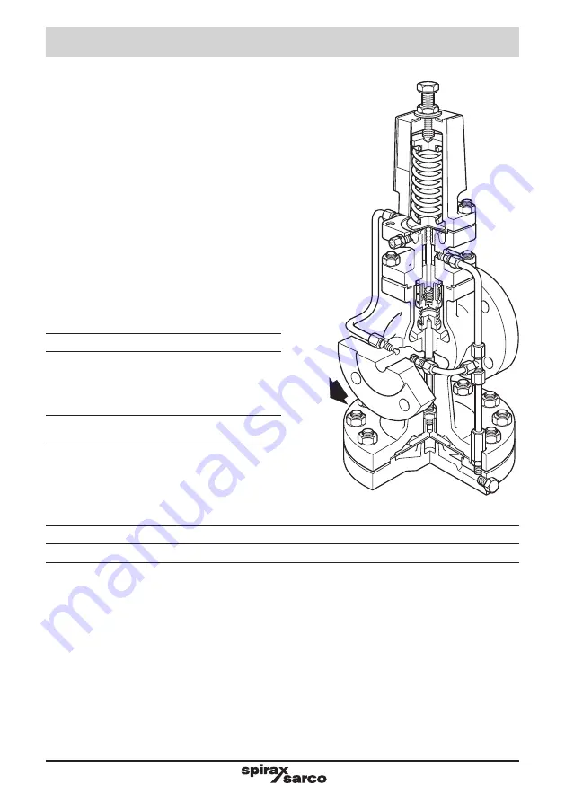 Spirax Sarco DP143 Скачать руководство пользователя страница 6
