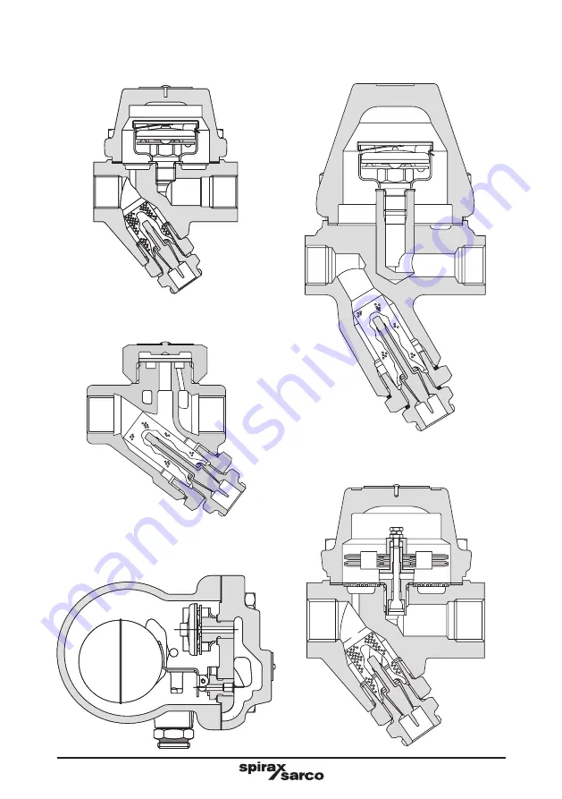 Spirax Sarco IBP21 Скачать руководство пользователя страница 6