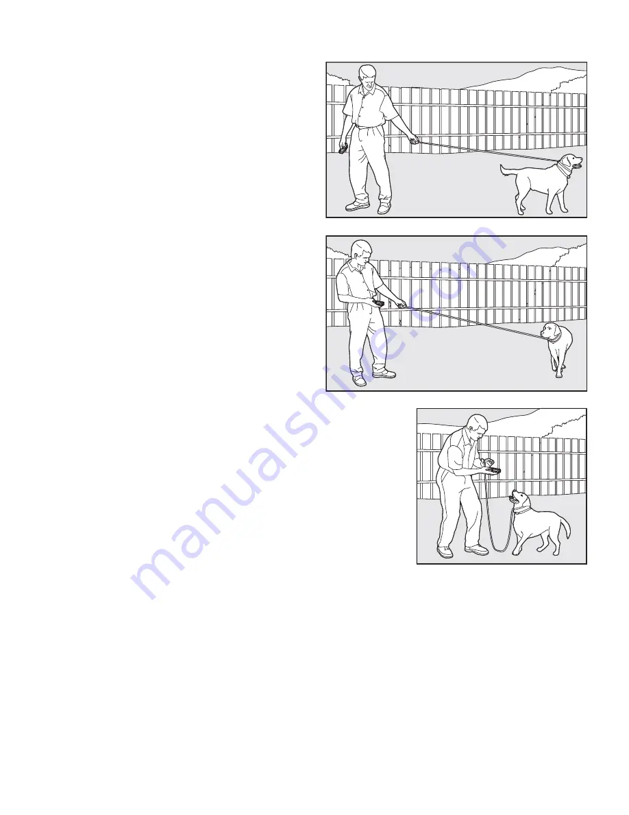 SportDOG SportTrainer 500 SDT30-11227 Operating Manual Download Page 56