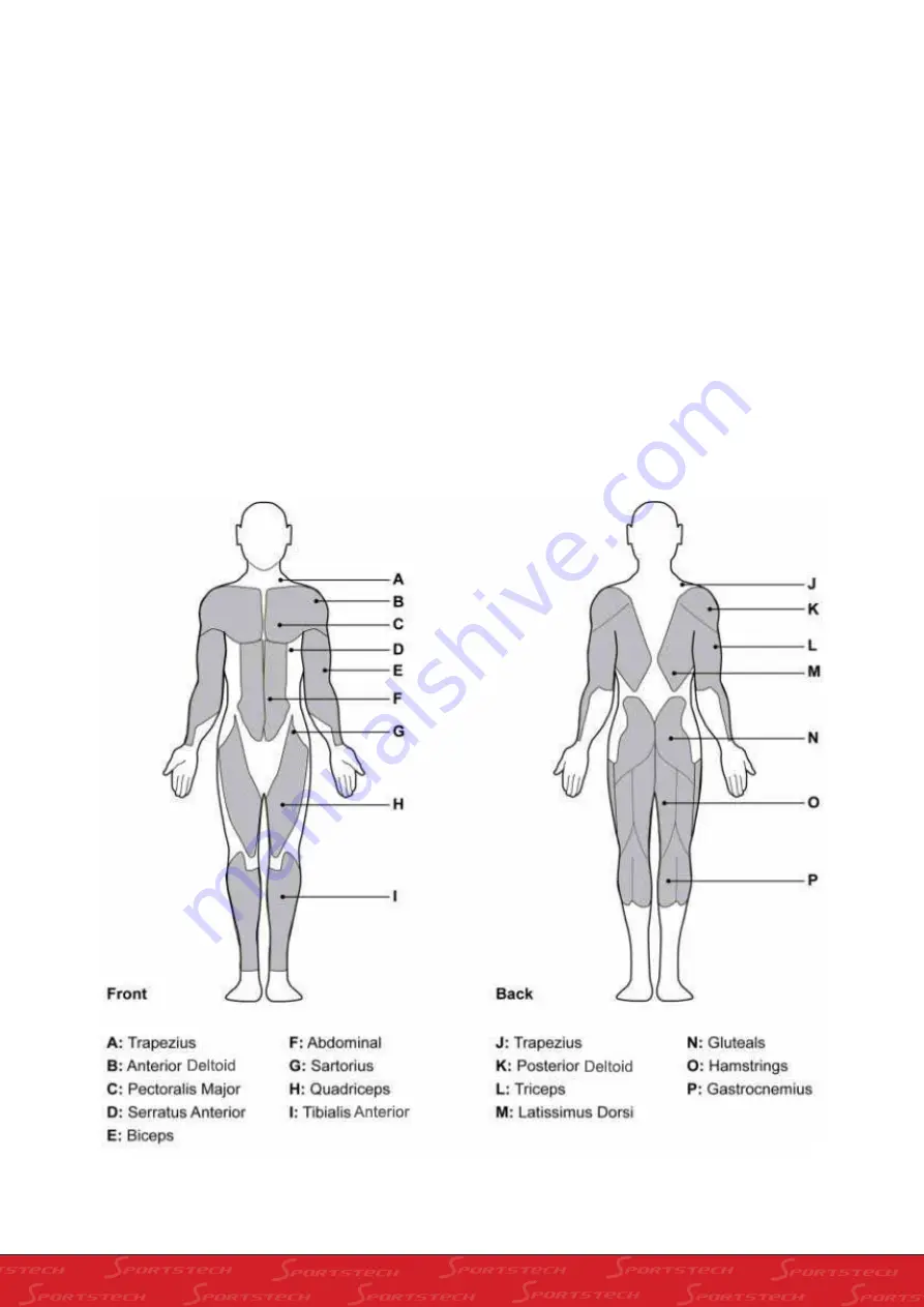 SPORTSTECH HGX100 User Manual Download Page 69