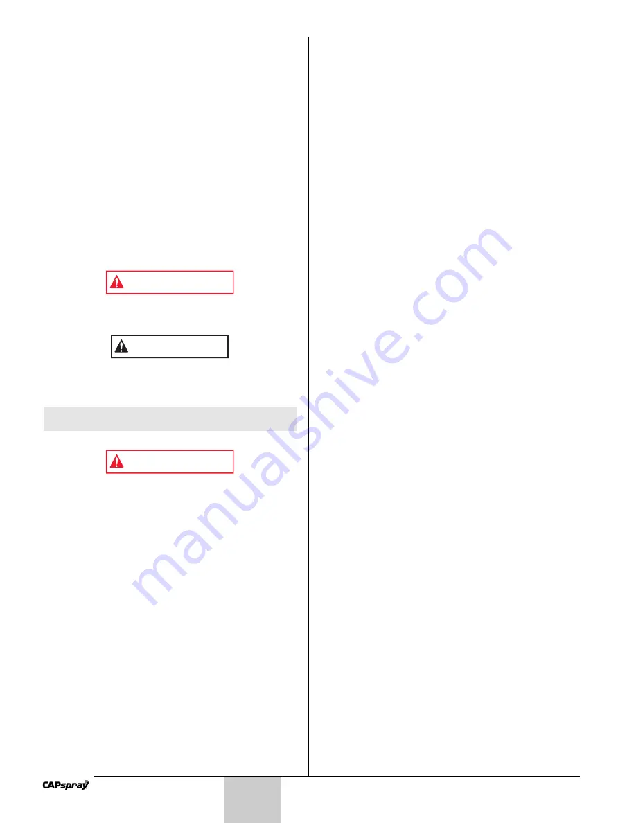 SprayTECH CAPspray CS5100 Owner'S Manual Download Page 10