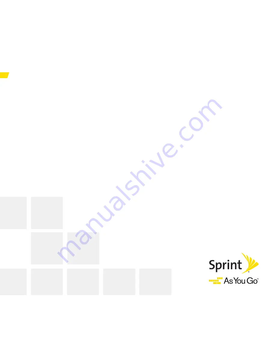 Sprint AIRAVE 2.5+ Скачать руководство пользователя страница 2