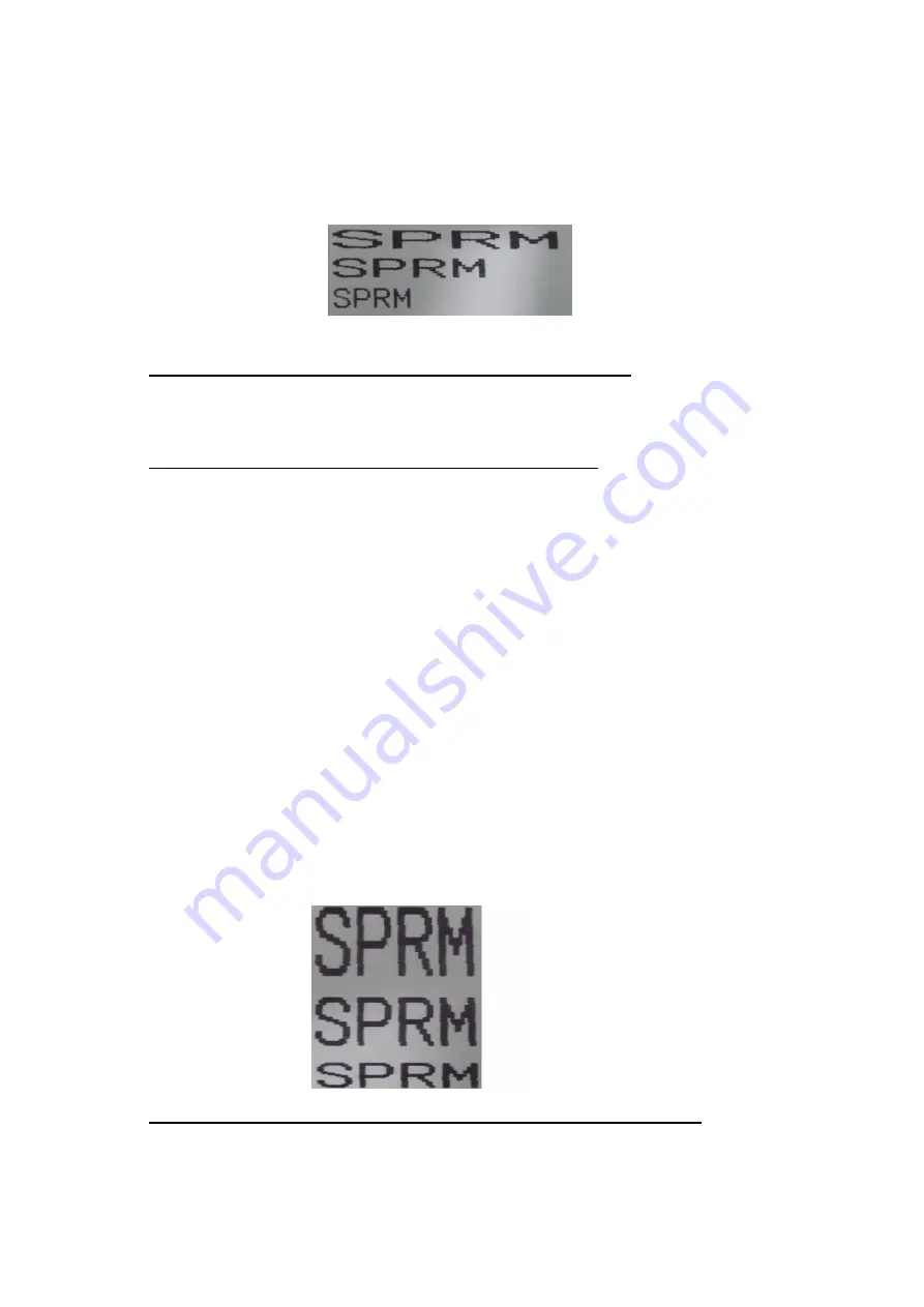 SPRT SP-RMD11A Скачать руководство пользователя страница 28